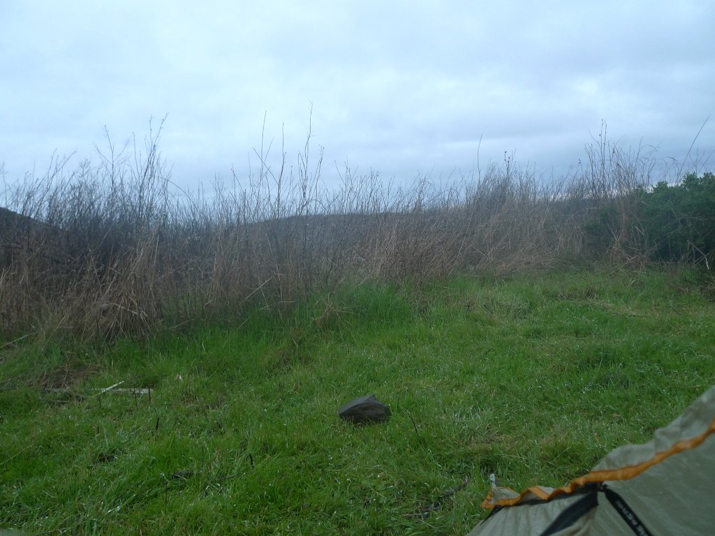 WildcatCamp 013.JPG - It started raining in the middle of the night. Morning fog wasn't veyr promissing either. V noci začalo pršet. Ranní mlha neslibovala nic lepšího.